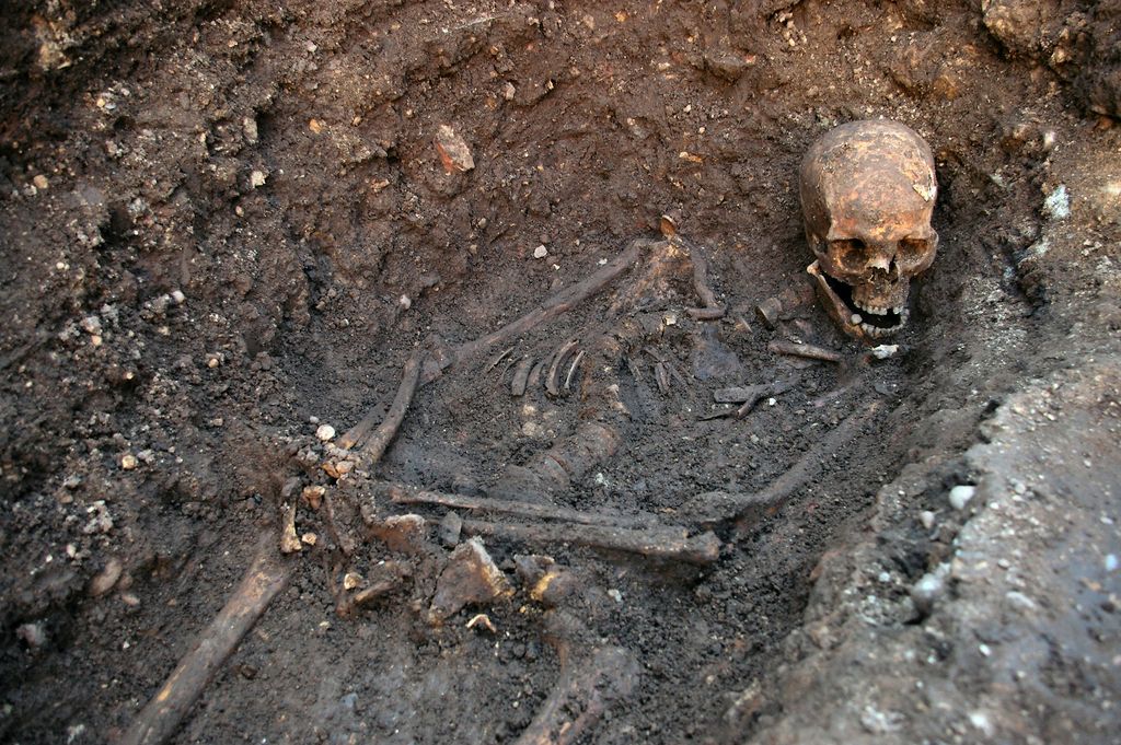 This undated photo provided by the University of Leicester shows the remains of England's King Richard III which were found in a dig in Leicester, England in September 2012. Not only was Richard III one of England?s most reviled monarchs, but it now turns out the hunchback king was probably infected with parasitic worms that grew up to a foot in length. Researchers who dug up Richard III?s skeleton underneath a parking lot report they have found roundworm eggs in the soil around his pelvis, where his intestines would have been. They compared that to soil samples taken close to Richard?s skull and surrounding his grave, where there weren't any eggs. In a study published online Wednesday Sept. 4, 2013 in the journal Lancet, experts say it?s unlikely the worms did any serious damage to the king. (AP Photo/University of Leicester)