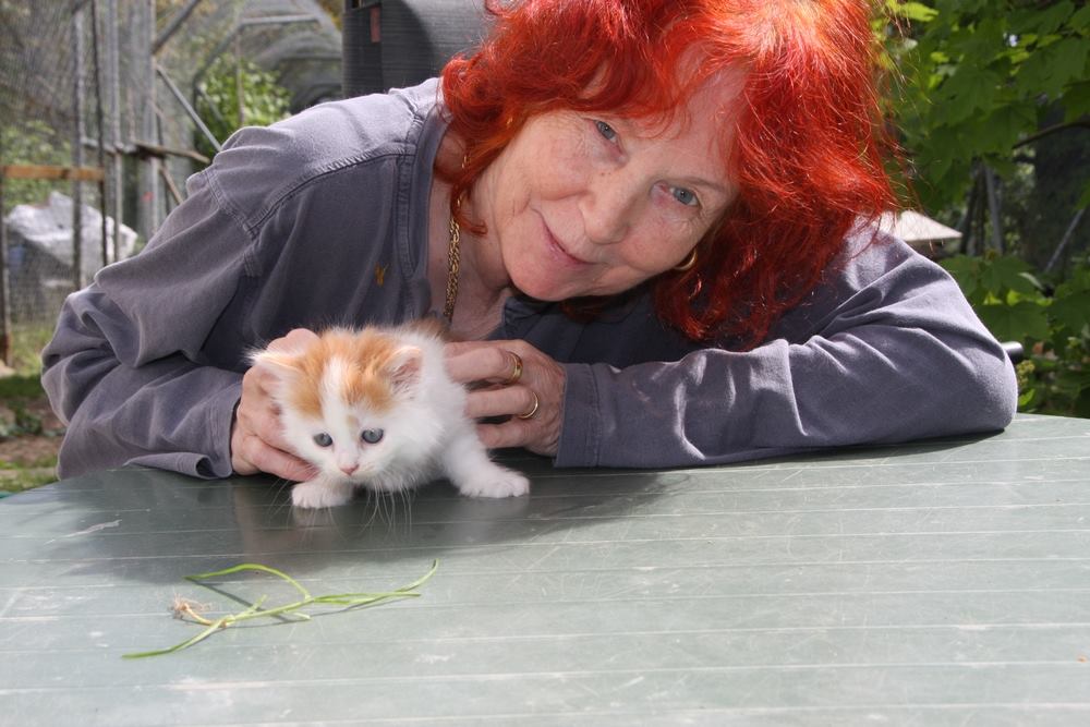 Tomi Tomek a déjà réussi à faire interdire le commerce des peaux de chats en Suisse.
