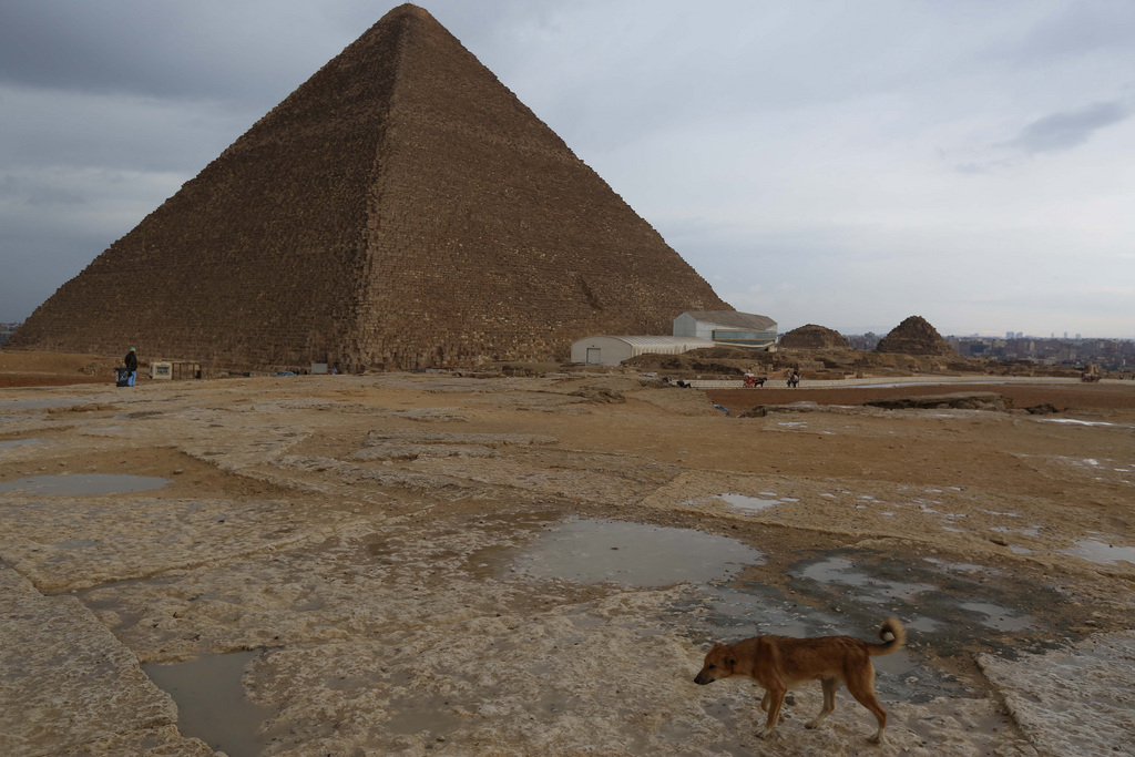 A stray dog scavenges for food at the historical site of the Giza Pyramids near Cairo, Egypt, on Friday, Dec. 13, 2013. Tourism in Egypt has dropped following unrest surrounding the July 3 popularly backed military coup that ousted President Mohammed Morsi. (AP Photo/Jon Gambrell)