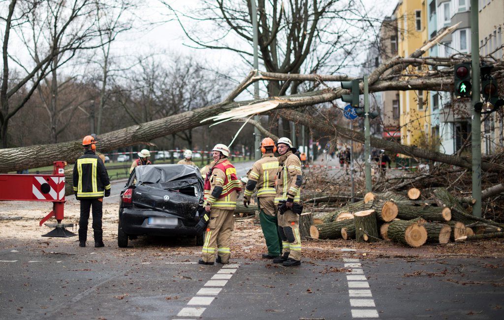 epa04687781 Members of the German emergency services around an uprooted tree in a street after it fell on a car in the district Wedding in Berlin, Germany, 31 March 2015. According to meteorologists forecasts the deep depression 'Niklas' is expected to bring heavy rain and gusts of wind with a speed of up to 140 kmh.  EPA/BERND VON JUTRCZENKA
