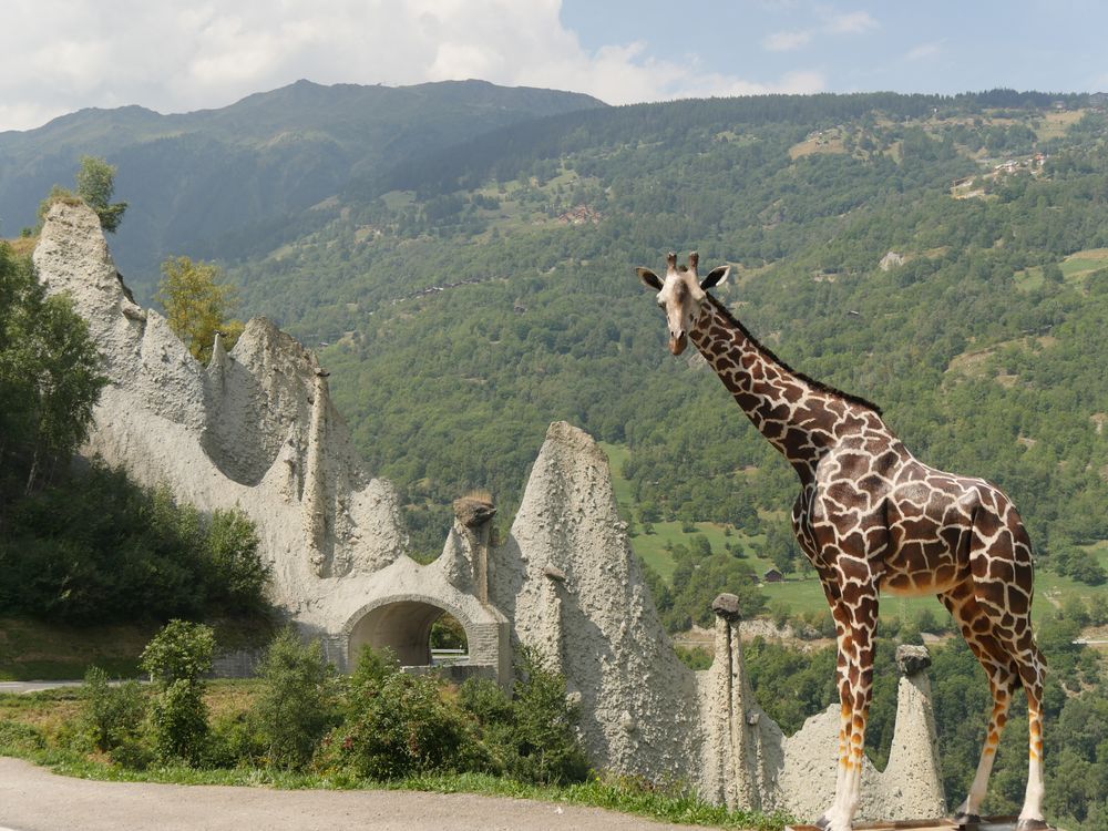 Le petit est un mâle qui ne porte pas encore de nom.