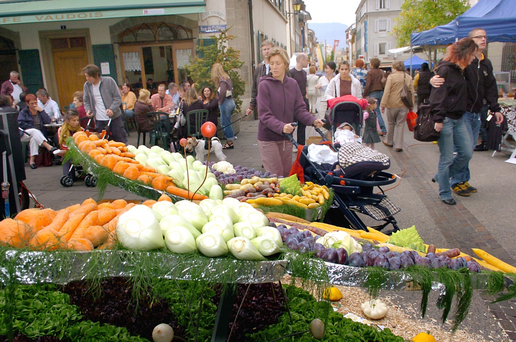 Nyon , samedi 29 septembre 2007 , marche d'automne , photo Martial Fragniere