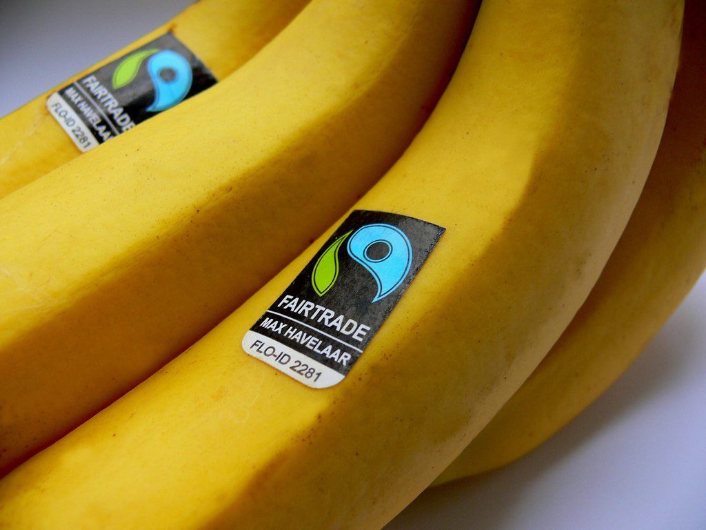 La banane est le produit certifié Fairtrade le plus consommé. 