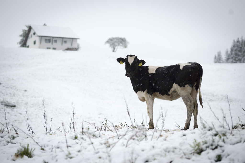 La neige avait déjà fait une apparition, fin septembre, dans les Grisons.