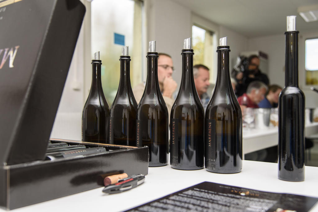 Présentation du Marébène, vin élevé dans 7 barriques d'essence de bois différentes, ici les bouteilles pour la dégustation à l'aveugle.