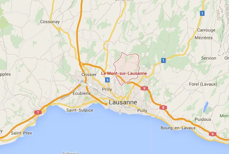 Un bûcheron meurt écrasé par un arbre qu'il coupait au Mont-sur-Lausanne.