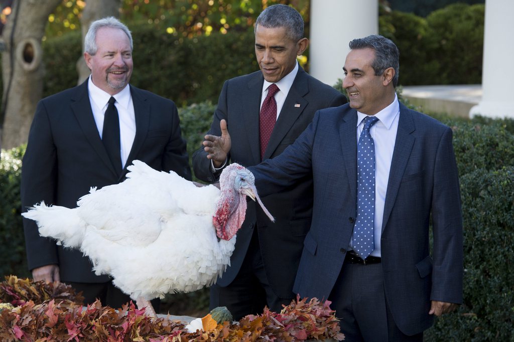 Le président Barack Obama à la Maison Blanche qui gracie Honest et Abe, deux dindes de 18 semaines à l'occasion du début des fêtes de Thanksgiving.