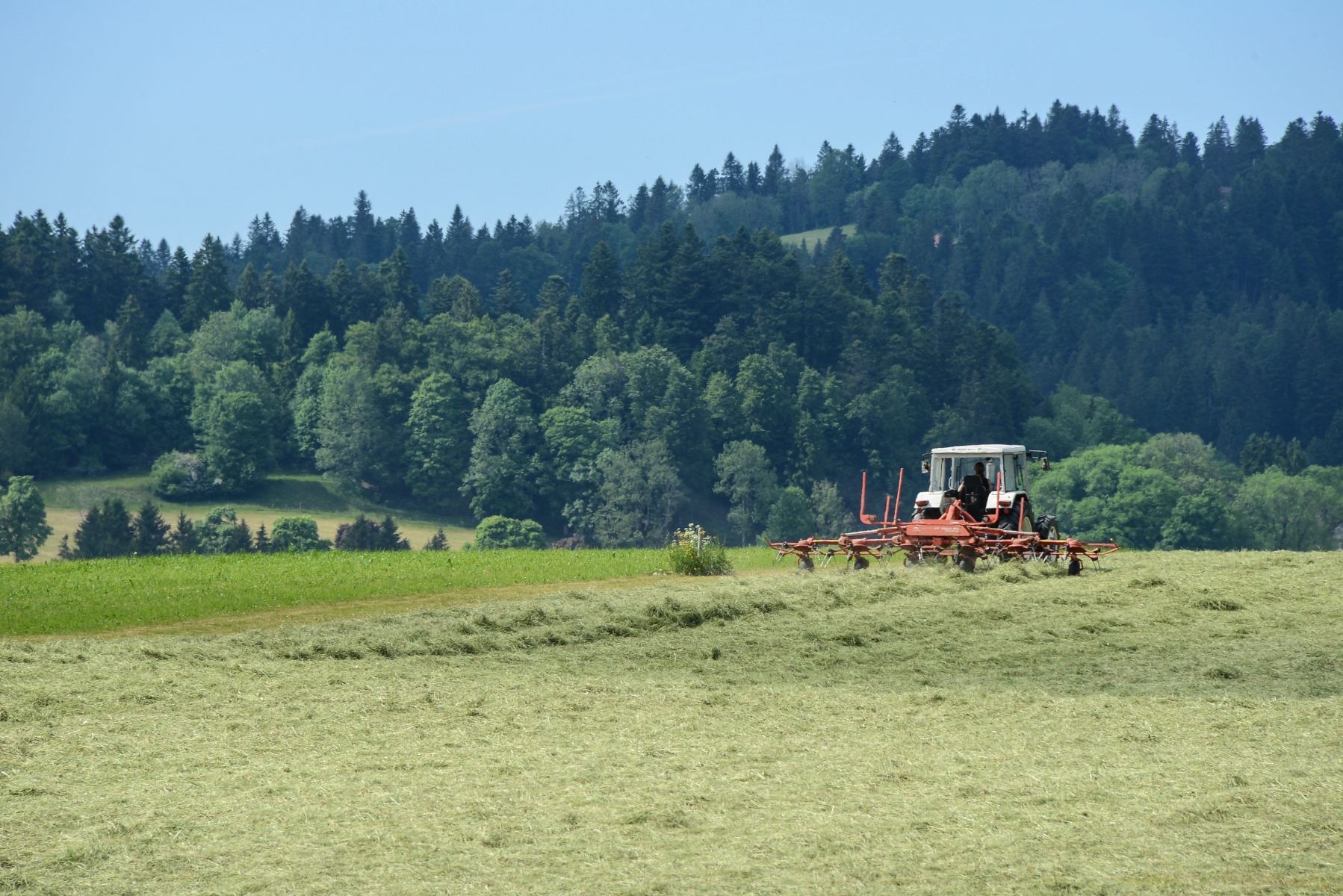 Les agriculteurs font les foins



LE LOCLE 4 06 2015

Photo: Christian Galley AGRICULTURE
