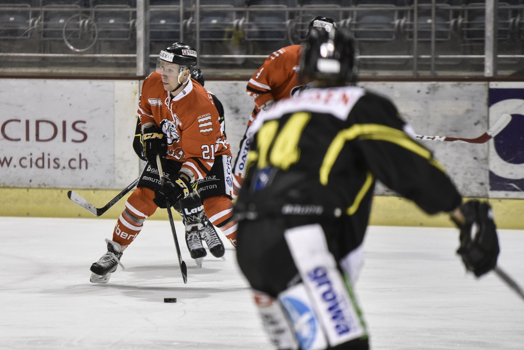 Morges, samedi 28.11.2015, patinoire des Eaux-Minérales, hockey sur glace, 1ère ligue, Forward Morges vs Saastal, Loic Mora, photos Cédric Sandoz