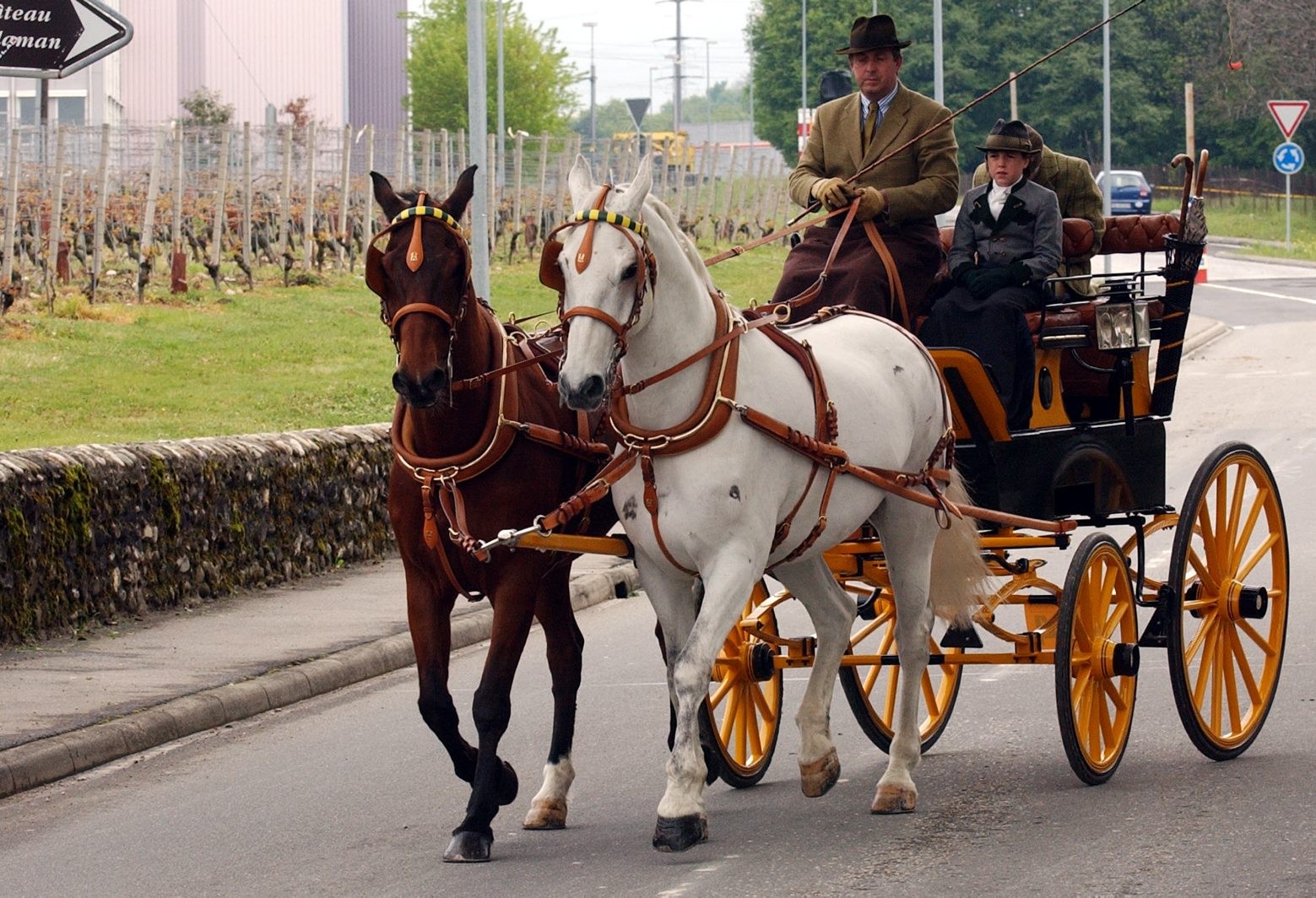 Allaman concours international d'attelage de tradition chevaux no 14 Hugues Vincent de St Pierre la Noaille France Allaman concours international d'attelage de tradition chevaux