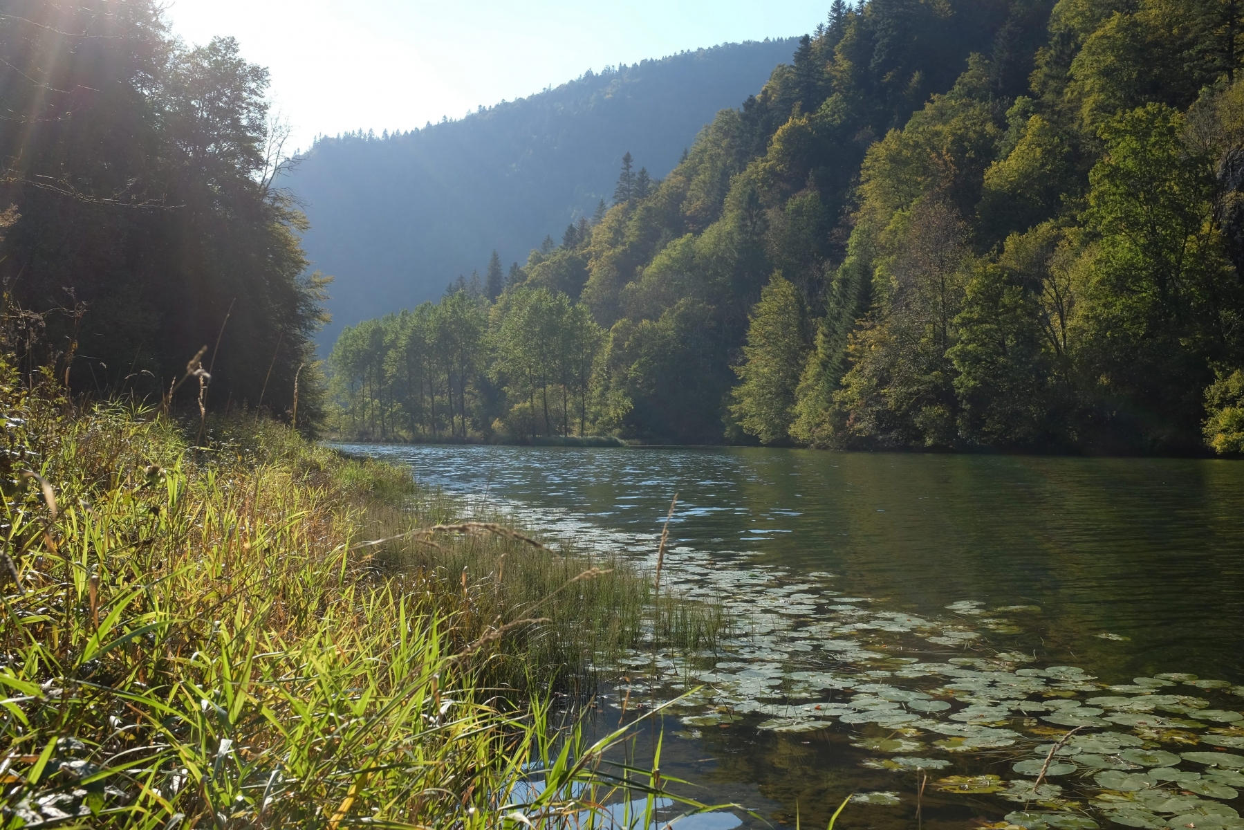 Genève et la France voisine collaborent sur les corridors biologiques et les rivières.