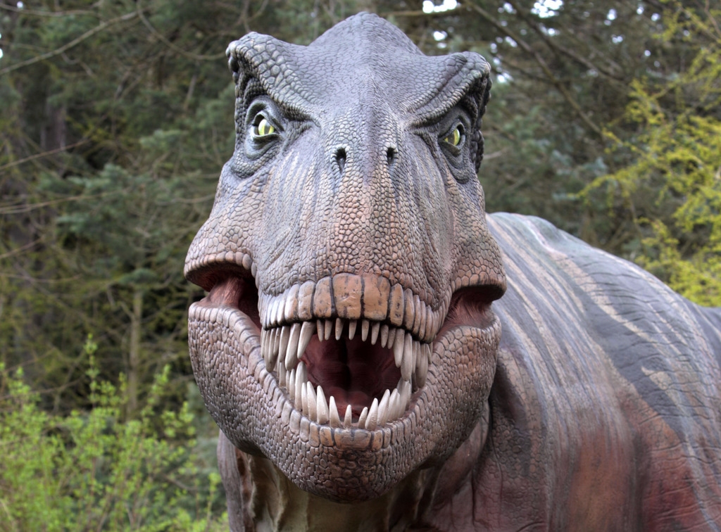 Le T.rex comme imaginé par un parc naturel de Seattle. (Illustration)