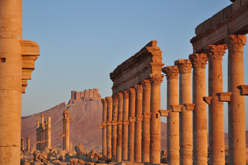 La cité antique de Palmyre n'est plus aux mains de Daech.