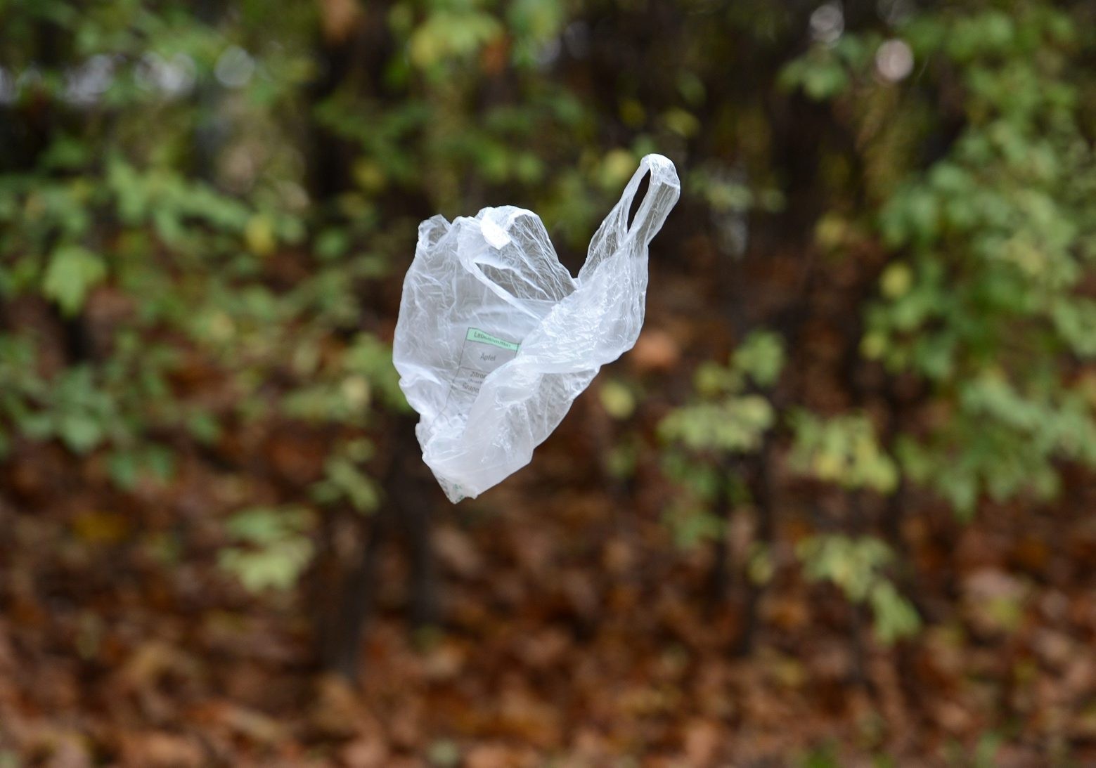 Ein vom Wind verwehter Plastiksack, aufgenommen am Montag, 4. November 2013, in Wien. Die EU-Kommission will den Verbrauch von Plastiktueten eindaemmen. Insbesondere leichte Einwegtueten sind problematisch. Jeder Europaeer verbraucht nach Angaben der EU-Kommission 198 Plastikbeutel pro Jahr, etwa 90 Prozent davon aus leichtem Material. Viele der Tueten endeten schließlich im Meer. (KEYSTONE/APA-FOTO: HELMUT FOHRINGER) EUROPA PLASTIKSACK ABFALL