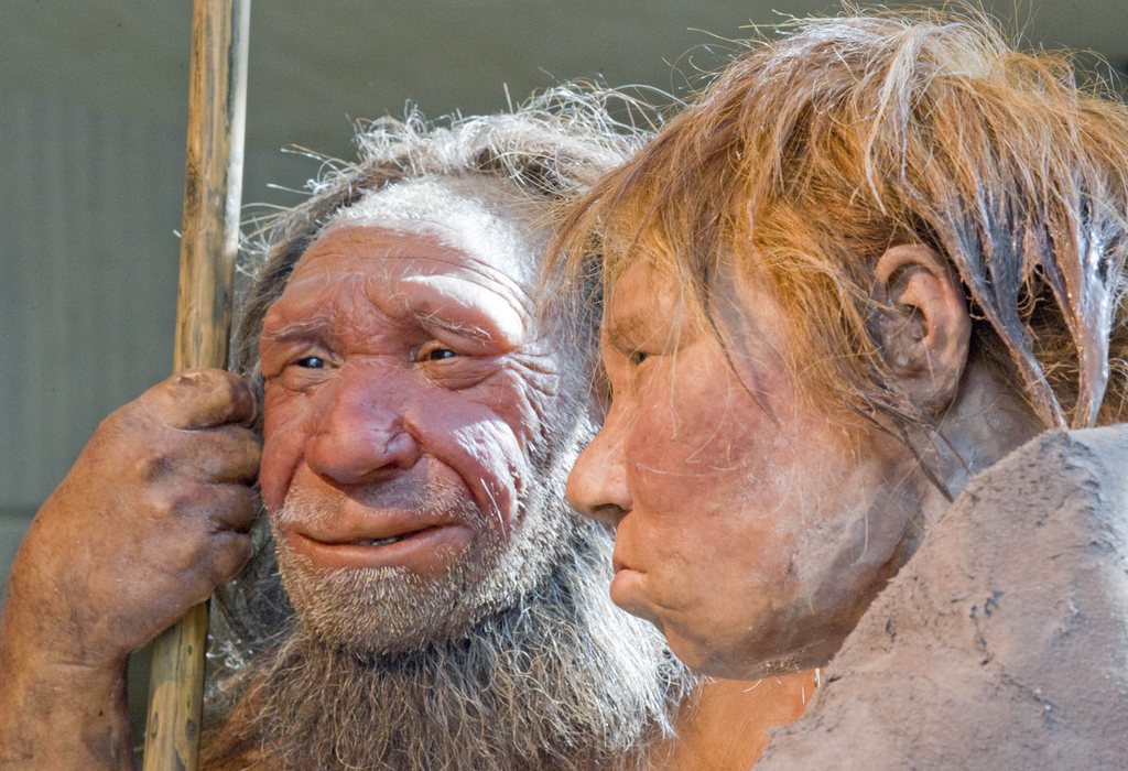L'homme de Neandertal a disparu il y a environ 40'000 ans pour des raisons qui restent obscures.