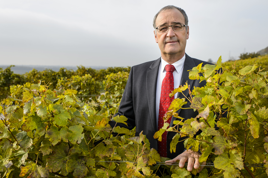 Guy Parmelin a vendu sa part du terrain à son frère. Selon le DDPS, le politicien avait déjà pris des mesures avant son élection. (illustration)