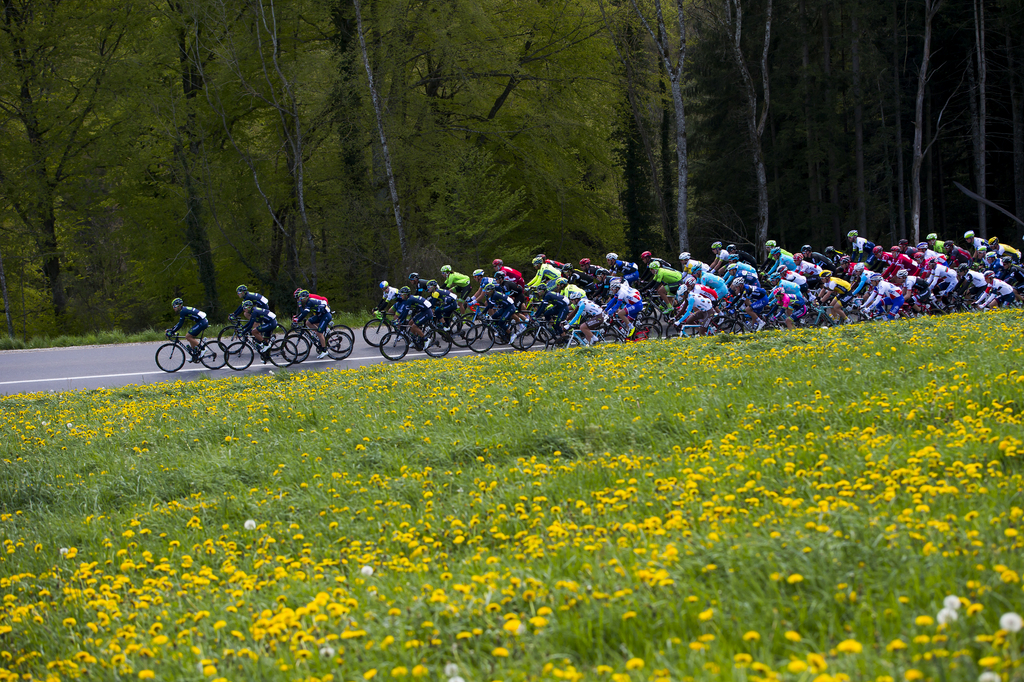 Avis aux automobilistes, dimanche à Genève, il faudra faire de la place aux vélos du Tour de Romandie et aux bipèdes qui participent au défilé du 1er mai.