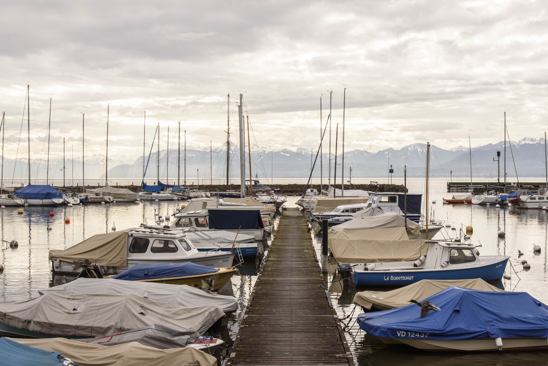 Rolle, mercredi 30.03.2016, photos intemporelles, photos du port de Rolle, photos Cédric Sandoz