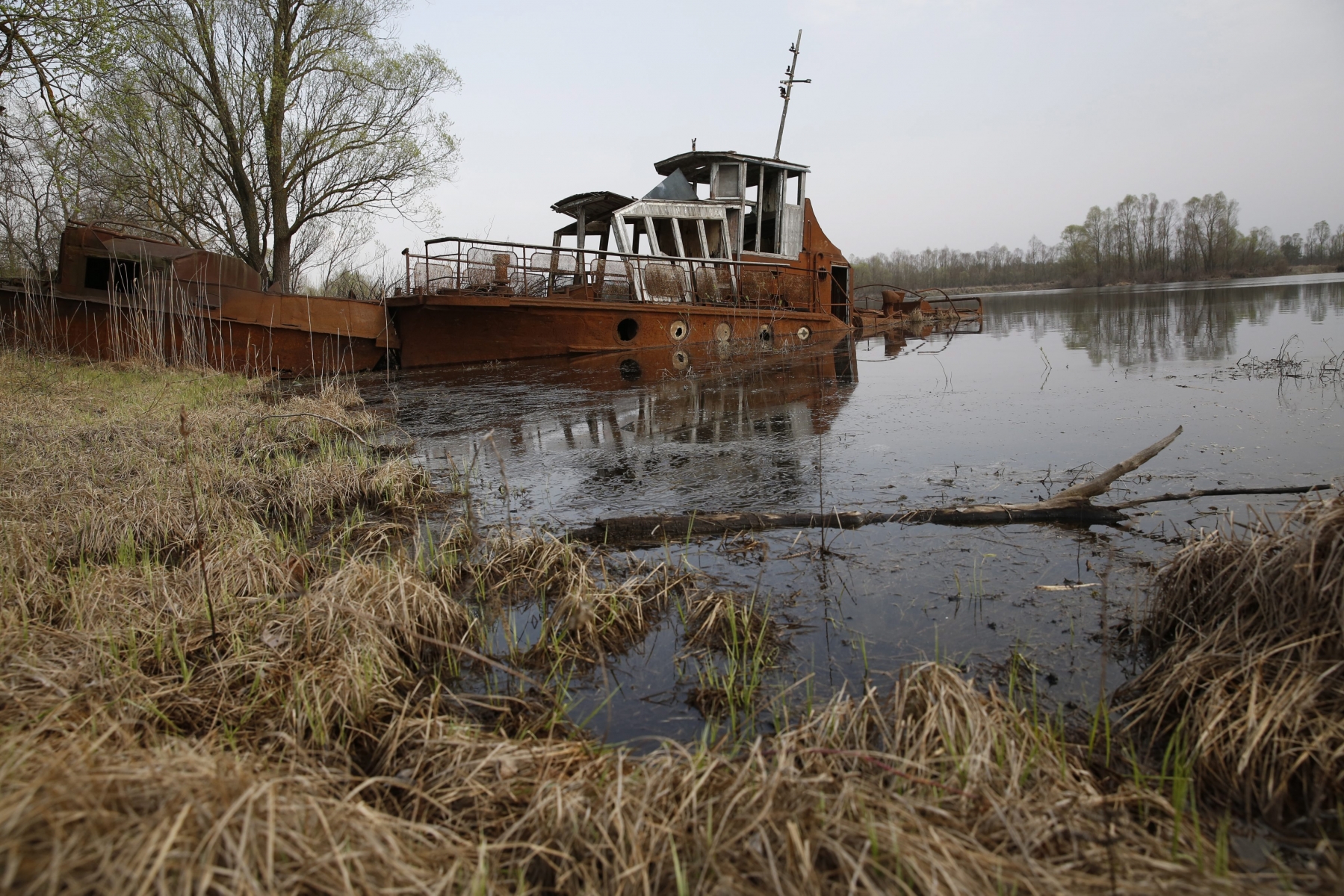 epa05265098 (14/22) An old barge is seen at the dead channel of Pripyat river in the state radiation ecology reserve in the 30 km exclusion zone around the Chernobyl nuclear reactor, some 390 km from Minsk, Belarus, 12 April 2016. 30 years have passed since the accident and life has not returned to normal in the disaster-affected area. The levels of radiation remain high in the surroundings of the nuclear plant, though life does seem to be slowly recovering. There are very few people living in the villages near the Chernobyl nuclear site, and much of the land is gradually being turned into farmers fields. The flora and fauna is present and alive and a farm is operating 37 kms away from the reactor site. The farm is located near a radiation ecology reserve and has more than 260 horses and 55 cows being raised for sale there. Workers of the reserve claim that during all activities, the content of radionuclides is monitored.  EPA/TATYANA ZENKOVICH PLEASE REFER TO ADVISORY NOTICE (epa05265