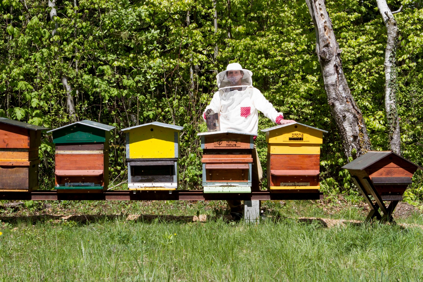 Ruchers de l'association Mellifera qui promouvoit l'apiculture et vise à sensibiliser la population à l'importance des abeilles pour notre environnement.

Les Rochettes, Aubonne, jeudi 28 avrl 2016. Ruchers Association Mellifera