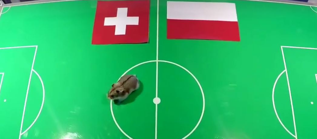 Jean-Jacques Aeschlimann a fait son choix entre la Suisse et la Pologne.