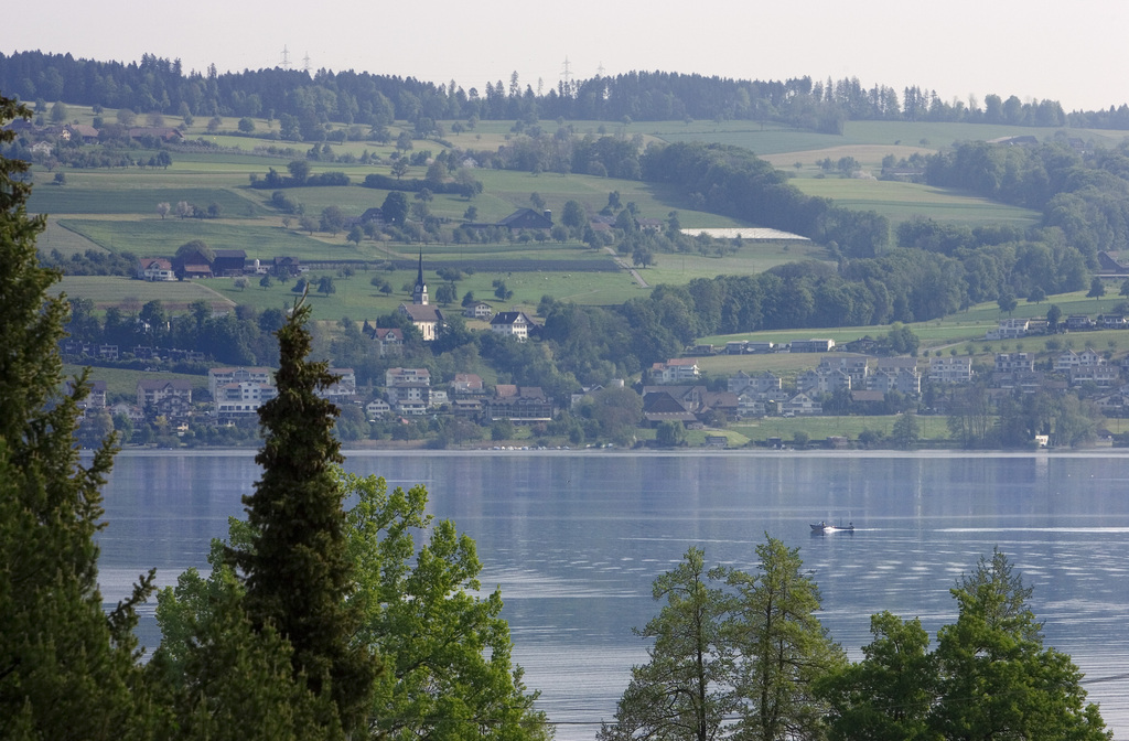 Des écrevisses vivantes ne peuvent plus être introduites dans le lac de Sempach. On ne peut plus non plus en capturer pour les transporter ailleurs.