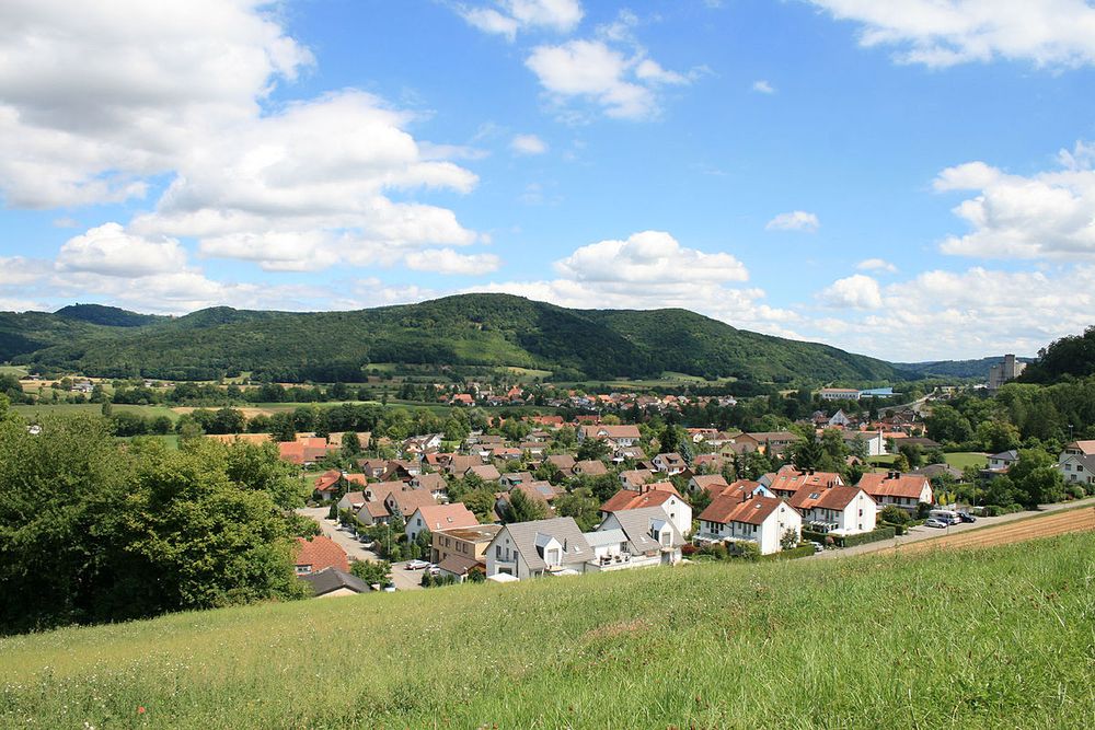 L'association "Réseau asile Argovie" a critiqué le comportement "déloyal et douteux" de la commune de Rekingen.