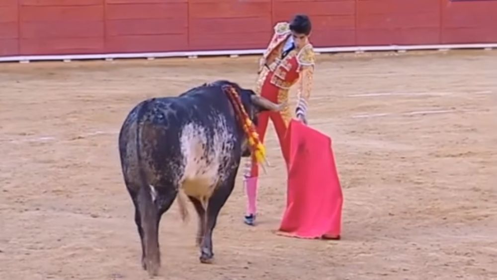 Le jeune torero espagnol Victor Barrio, quelques instants avant le choc fatal.