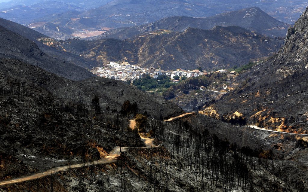 Plusieurs incendies ravagent l'Espagne depuis le mois de juin.