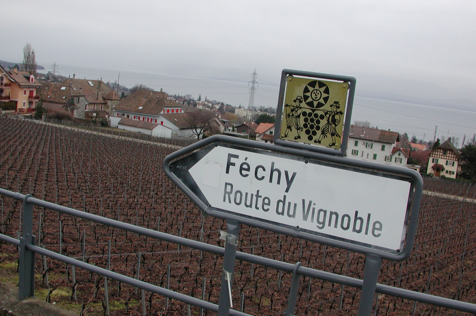 la Route du Vignoble s'affiche dans la région.
6 mars 2003