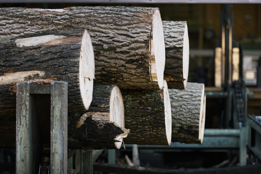 La récolte de bois avait connu deux années de progression avant 2015.