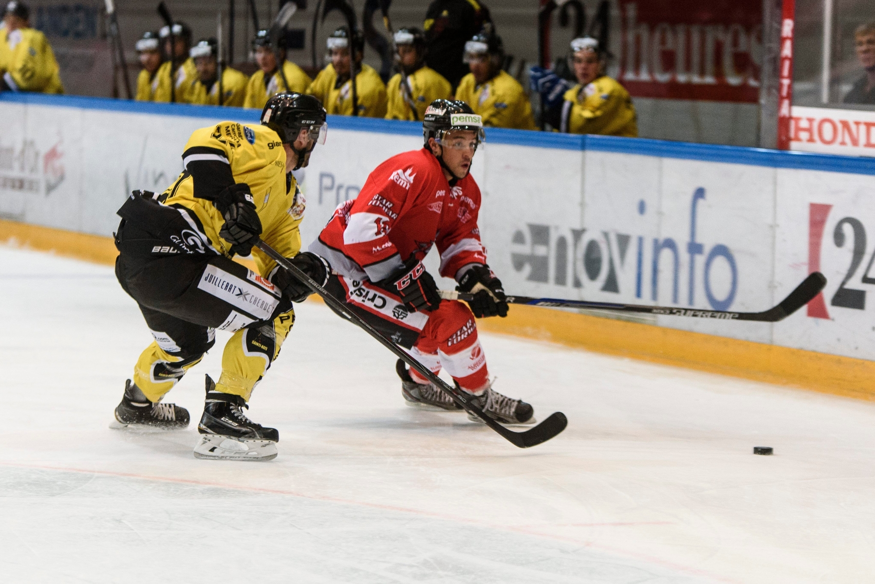 Lausanne, mercredi 05.10.2016, Malley, hockey sur glace, 1ère ligue, Star Forward vs Saint-Imier, Yann-David Lahache, photos Cédric Sandoz