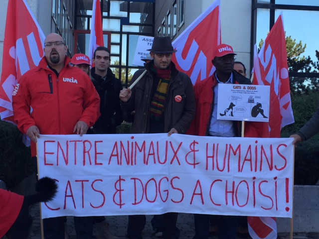 Une dizaine de représentants d'Unia et du mouvement solidaritéS se sont rassemblés jeudi matin aux Avouillons, où Cats and Dogs a établi son siège administratif.