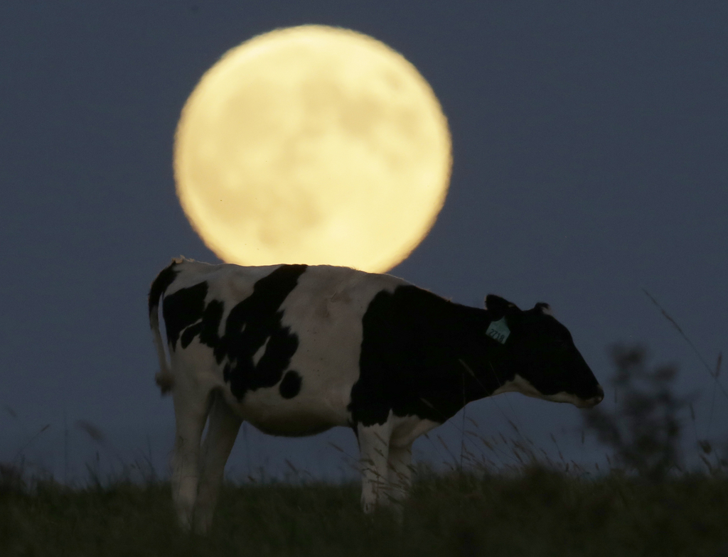 Une super-Lune avait illuminé le ciel en septembre 2015. Le 14 novembre prochain, le spectacle sera encore plus impressionnant.