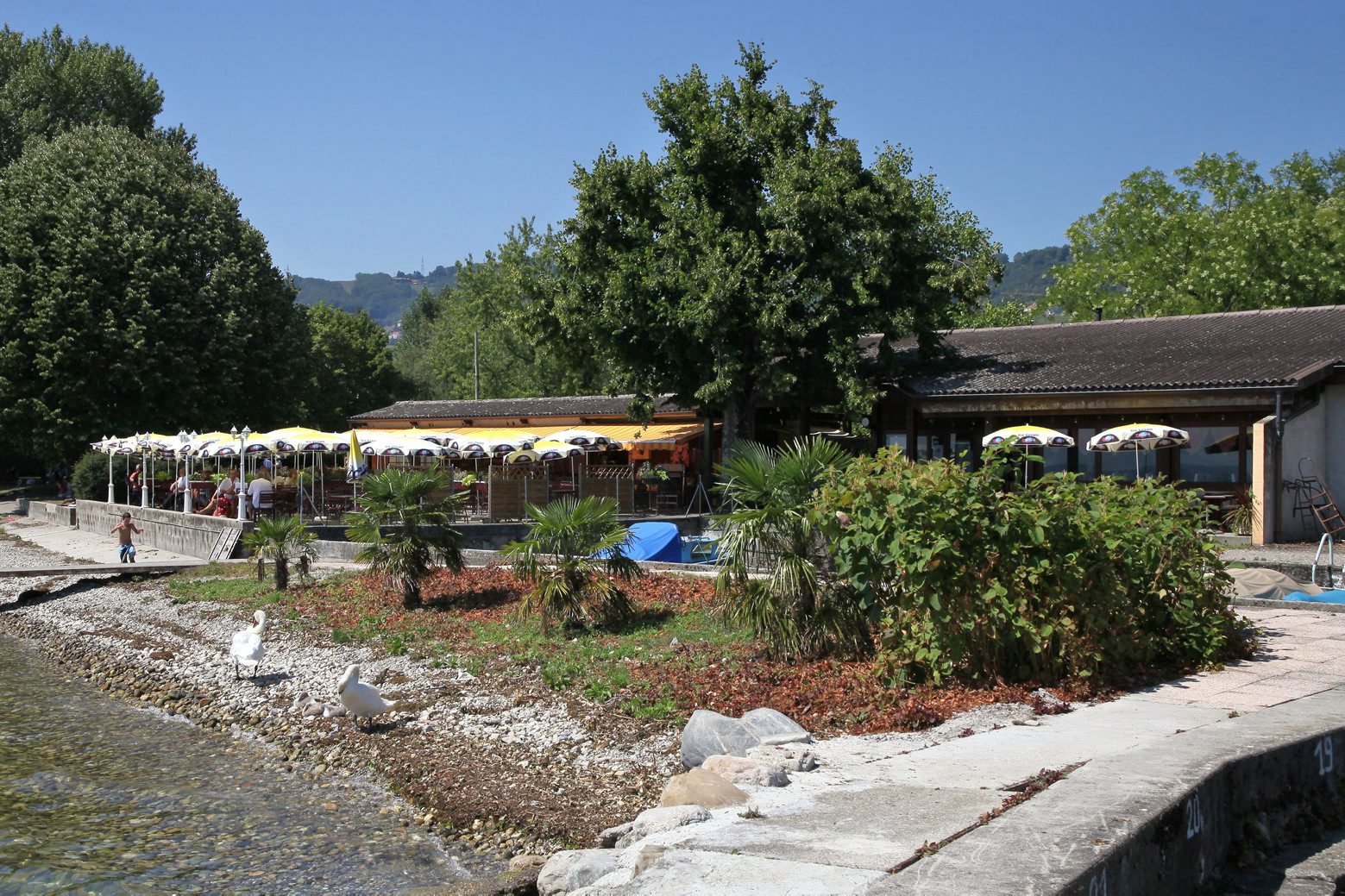 Buvette de la Plage à PERROY