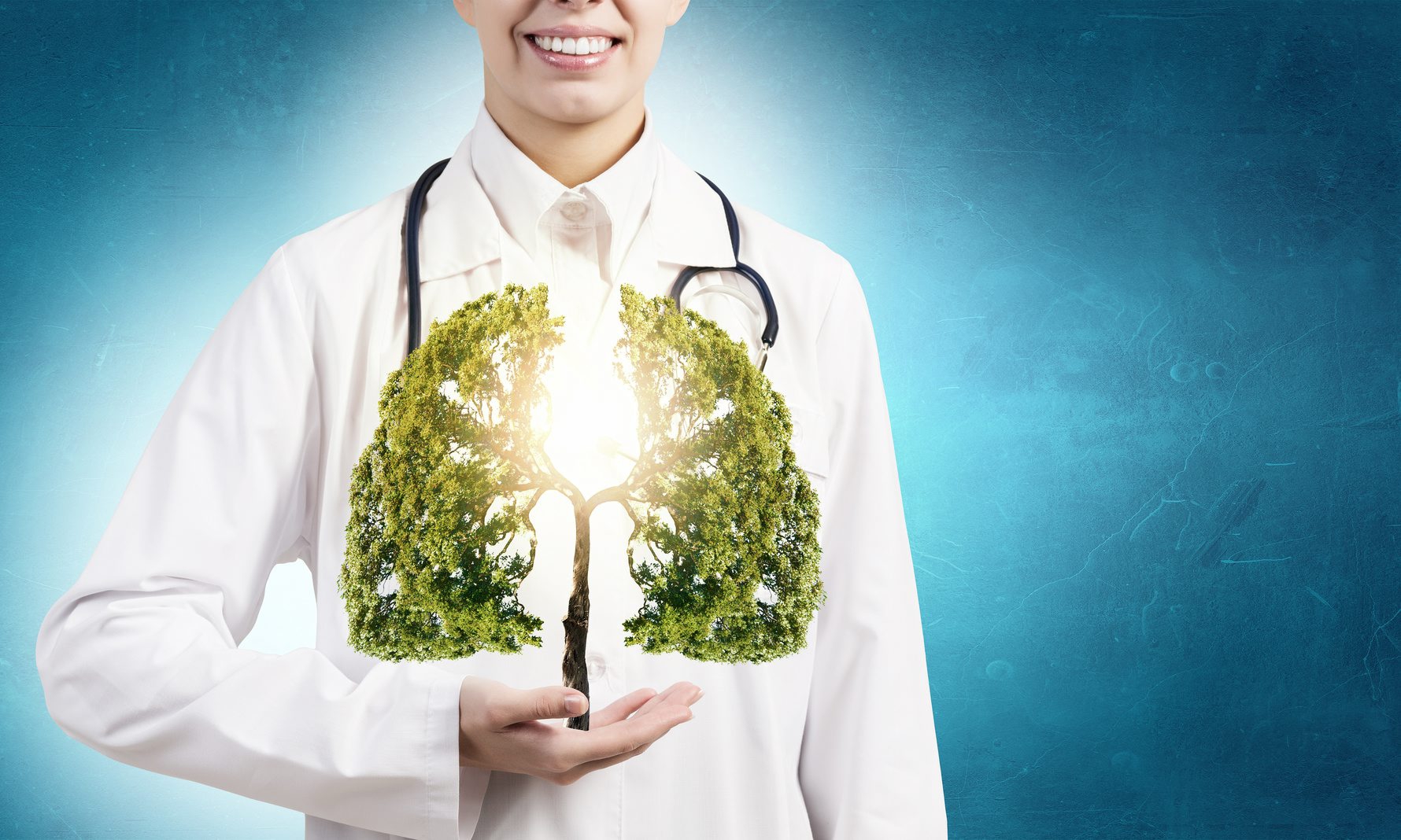 Close up of female doctor holding green tree in hands Healthy lungs