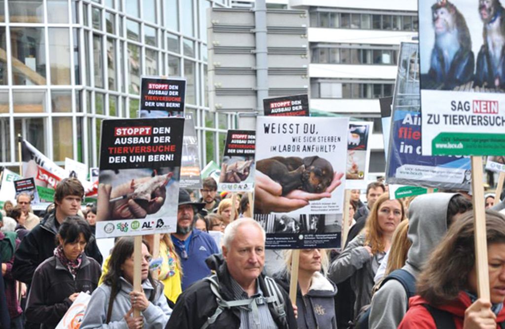 Le combat de la Ligue suisse contre la vivisection est vif dans les rues suisses allemandes.