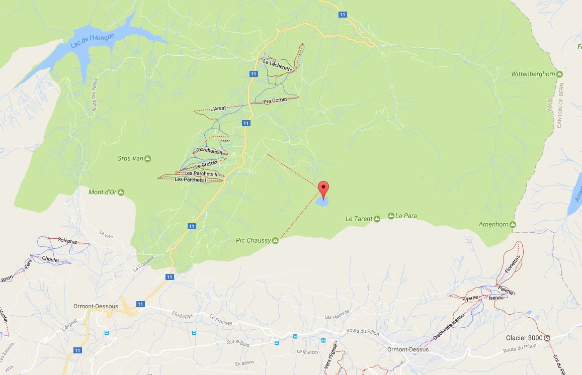 L'accident s'est produit sur la commune d'Ormont-Dessous à proximité du lac Lioson.