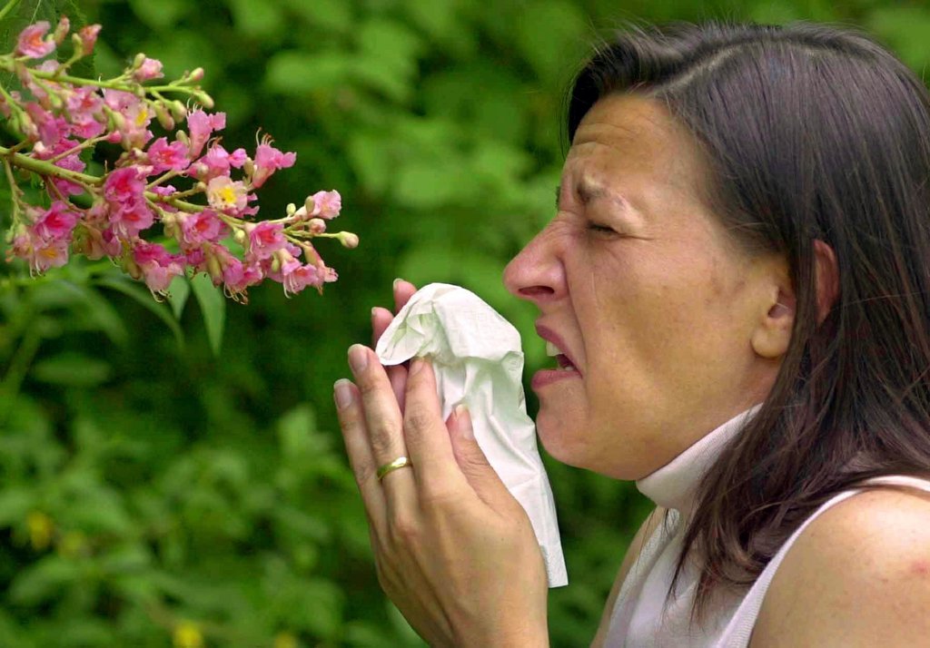 Les allergiques souffrent déjà, alors que l'hiver est encore là.