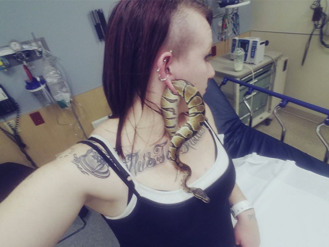 La jeune femme a dû aller aux urgences pour extraire le serpent de son lobe.