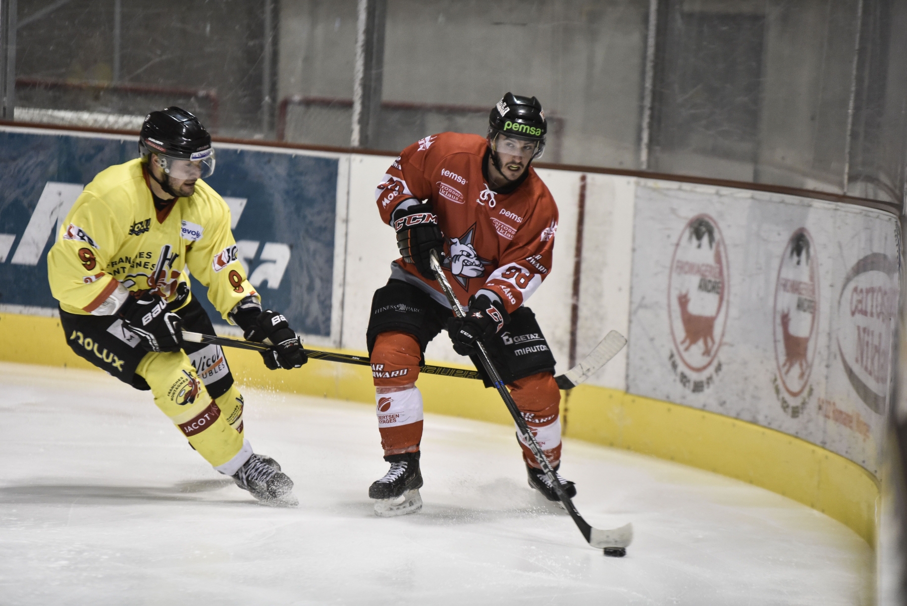 Morges, samedi 18 février 2017, patinoire des Eaux-Minérales, Playoff, 1/4 de finale, Star Forward vs Franches-Montagnes, Jérémy Gachet, photos Cédric Sandoz