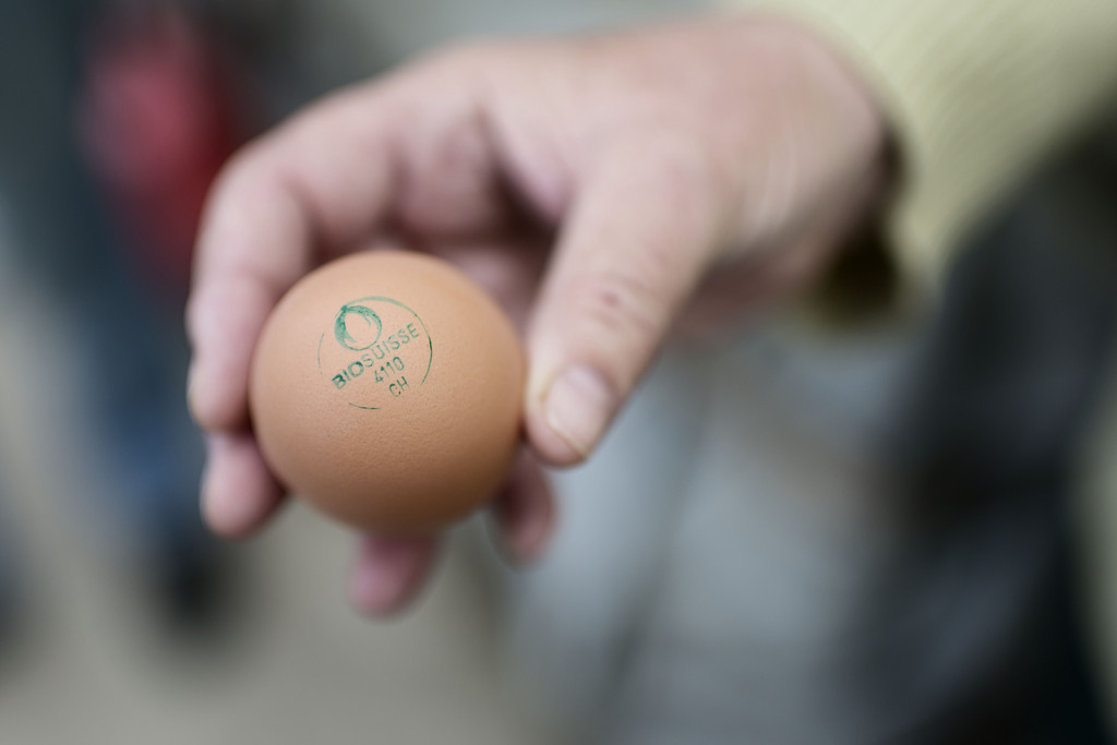 Les oeufs sont le produit bio le plus prisé des Suisses.