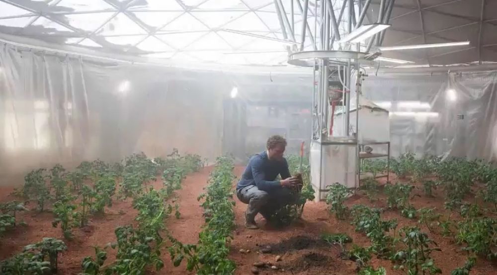 Les pommes de terre ont été cultivées sous un dôme, baptisé CubSat, où a été reproduite une atmosphère confinée censée être équivalente aux conditions sur Mars.