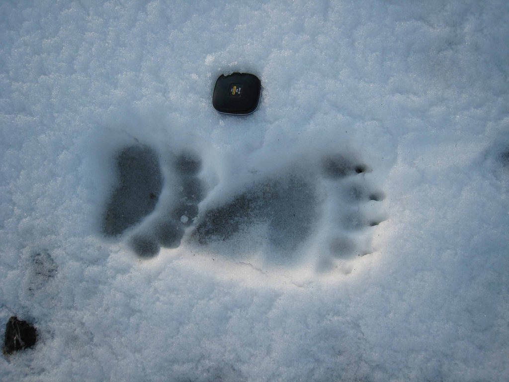 Le pêcheur a repéré des traces dans la neige.