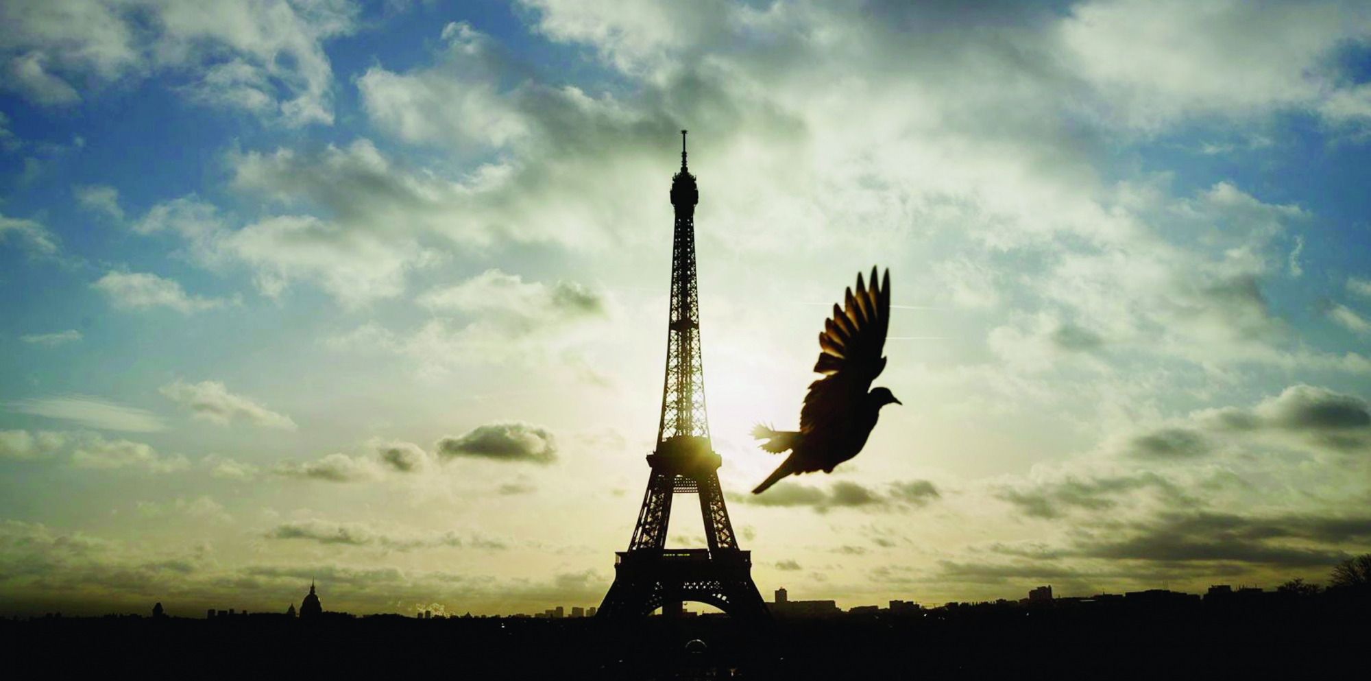 A bird flies in front of the Eiffel Tower ,which remained closed on the first of three days of national mourning,  in Paris, Sunday, Nov. 15, 2015. Thousands of French troops deployed around Paris on Sunday and tourist sites stood shuttered in one of the most visited cities on Earth while investigators questioned the relatives of a suspected suicide bomber involved in the country's deadliest violence since World War II.(AP Photo/Daniel Ochoa de Olza) APTOPIX France Paris Attacks
