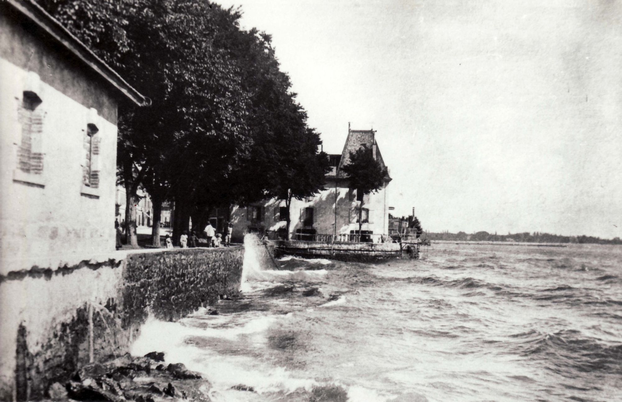 CP - N° 200
Lac Léman , quai, Maison Nénus, vague, arbres Maison Nénus