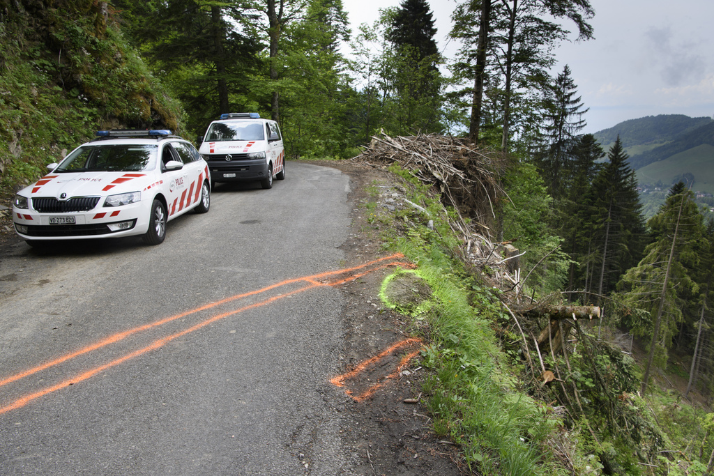 Les secours ont découvert l'automobile à une centaine de mètres en contrebas de la route de Jaman, sur la commune de Caux.