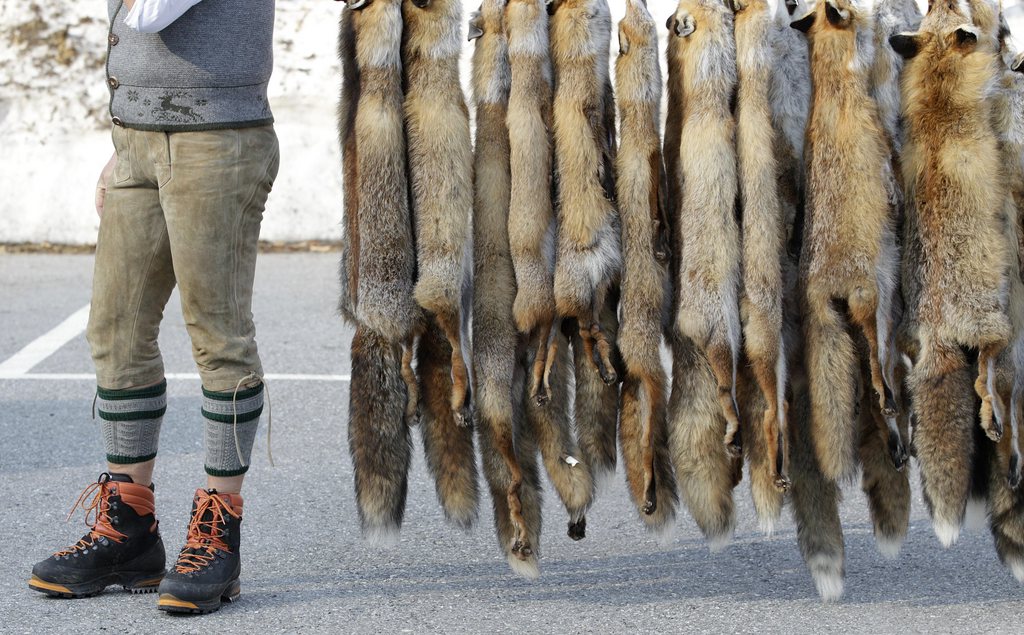 Les conditions de chasse devront également être stipulées.