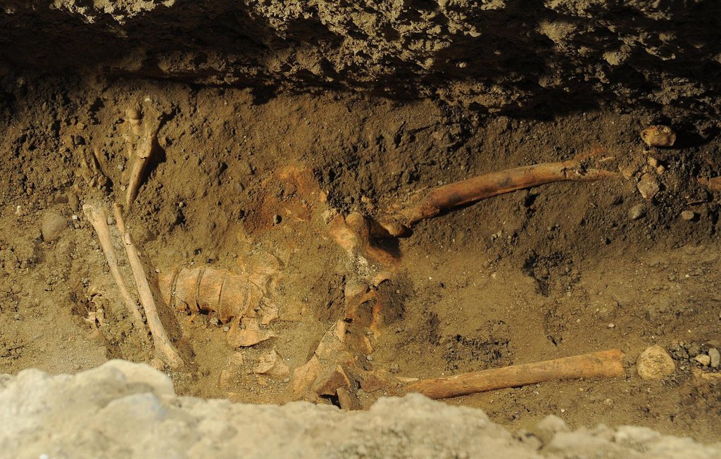 Les découvertes de squelettes humains peuvent considérablement modifier la donne historique. 