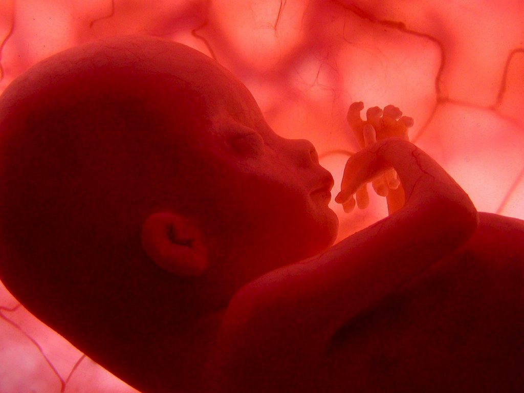 Le but de ces greffes d'utérus est de permettre à de jeunes femmes d'avoir des enfants.